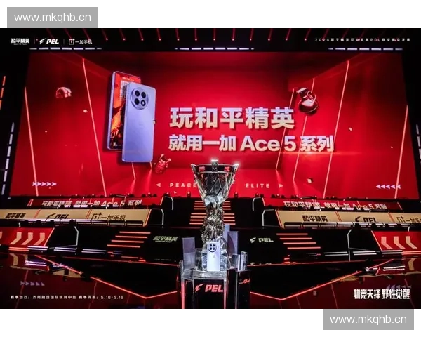 电子竞技赛事网助力电竞产业发展聚焦赛事直播与玩家互动体验